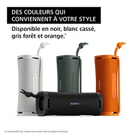 Haut-parleur sans fil Bluetooth étanche ULT FIELD 1 de Sony