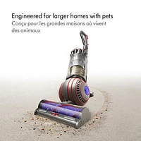 Dyson Ball Animal 3 Bagless Upright Vacuum - Nickel/Silver