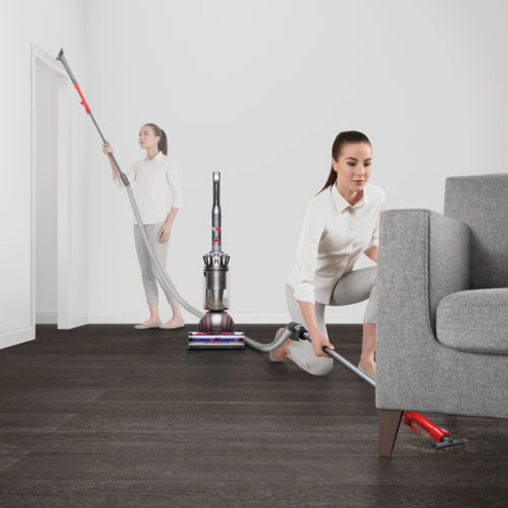 Dyson Ball Animal 3 Bagless Upright Vacuum - Nickel/Silver