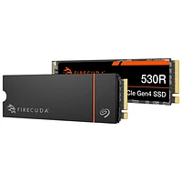 Seagate FireCuda 530R Heatsink 1TB NVMe PCI-e Internal Solid State Drive (ZP1000GM3A073)