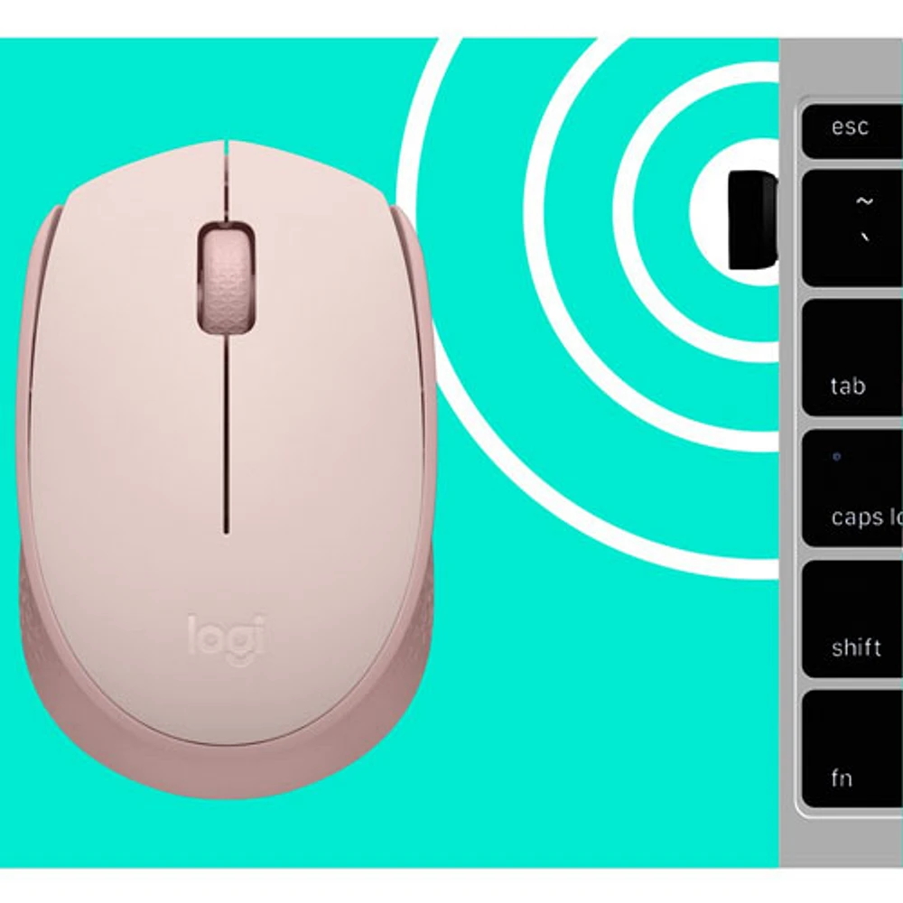 Souris optique sans fil de 1000 ppp M170 de Logitech - Rose