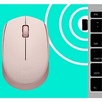 Souris optique sans fil de 1000 ppp M170 de Logitech - Rose
