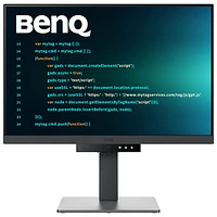 BenQ 24.1" WQHD 60Hz 5ms GTG IPS LCD Monitor (RD240Q) - Metallic Gray