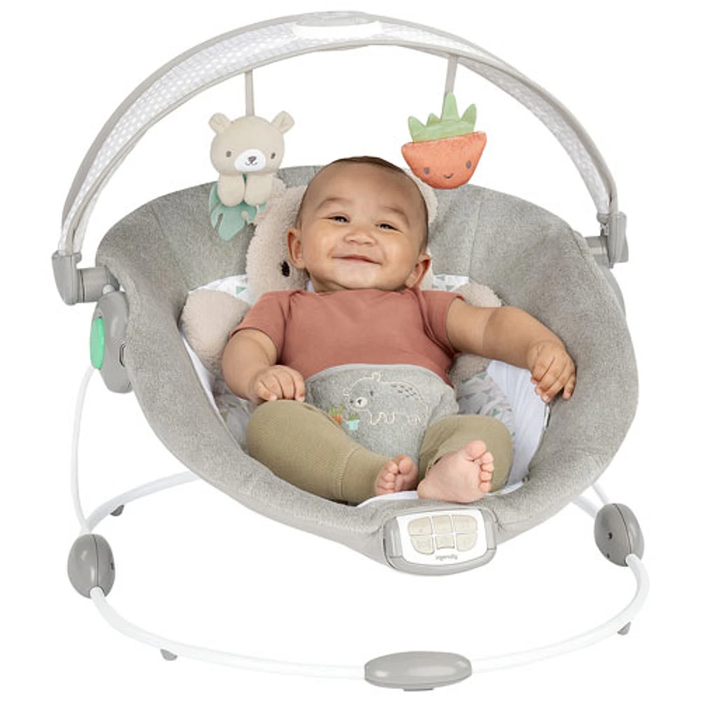 Ingenuity InLighten Bouncer