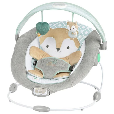 Ingenuity InLighten Bouncer - Kitt