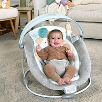 Ingenuity InLighten Bouncer - Kitt