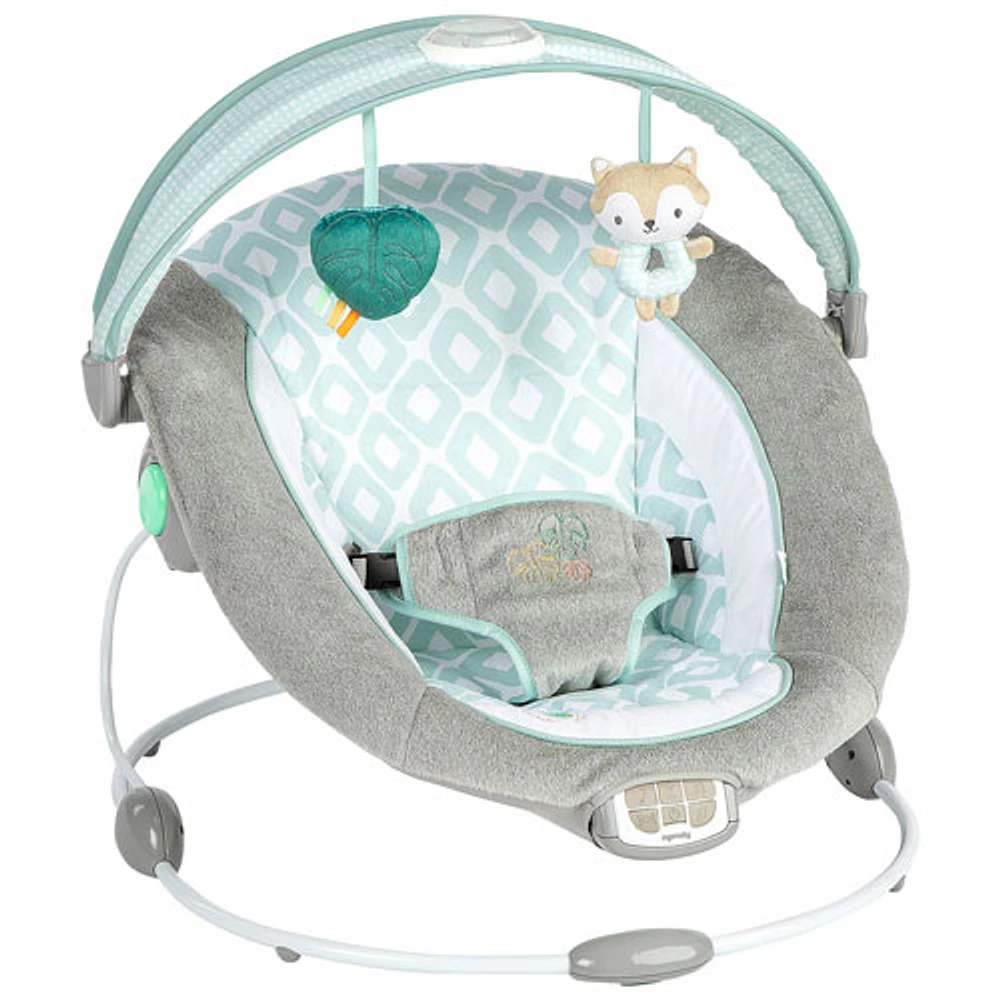 Ingenuity InLighten Bouncer - Kitt