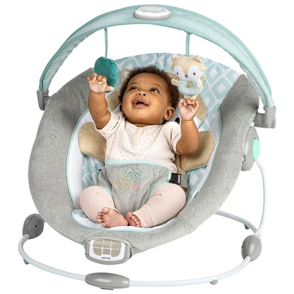 Ingenuity InLighten Bouncer - Kitt