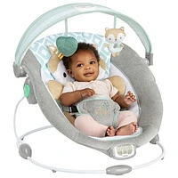 Ingenuity InLighten Bouncer - Kitt