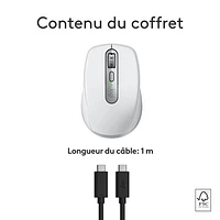 Souris compacte sans fil Darkfield MX Anywhere 3S de Logitech pour Mac - Gris pâle - Exclusivité de Best Buy