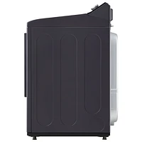 LG 7.3 Cu. Ft. Ultra Large Capacity Rear Control Electric Dryer (DLE8400BE) - Matte Black