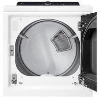 LG 7.3 Cu. Ft. Electric Dryer (DLE8400WE) - Alpine White