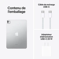 Apple iPad Pro 11" 1TB with Wi-Fi (5th Generation) - Silver