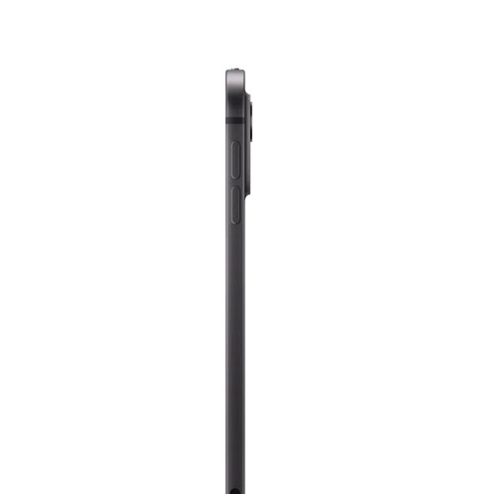 Apple iPad Pro 11" 256GB with Wi-Fi & 5G (5th Generation