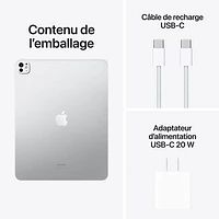 Apple iPad Pro 13" 256GB with Wi-Fi (7th Generation) - Silver