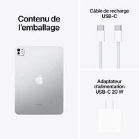 Apple iPad Pro 11" 1TB with Nano-Etched Glass & Wi-Fi (5th Generation) - Silver