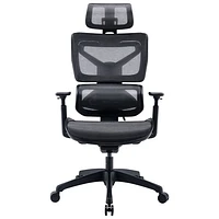 Fauteuil de bureau ergonomique en filet à dossier haut de TygerClaw - Noir