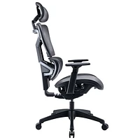 Fauteuil de bureau ergonomique en filet à dossier haut de TygerClaw - Noir