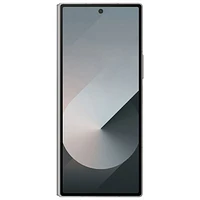 Galaxy Z Fold6 5G de Go de Samsung - Ombre argent