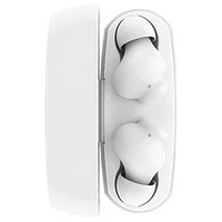 Belkin SoundForm Rhythm In-Ear True Wireless Earbuds - White