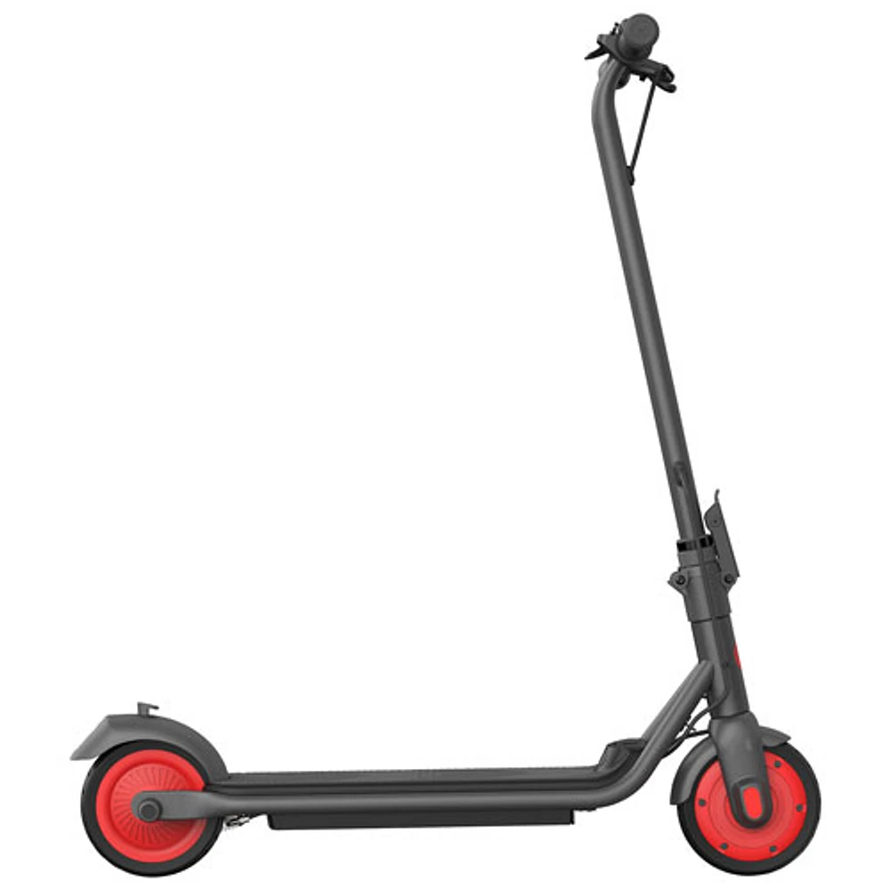 Refurbished (Fair) - Segway Ninebot ZING C20 Adult Electric Scooter (260W Motor/35km Range/16km/h Top Speed)