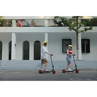 Refurbished (Fair) - Segway Ninebot ZING C20 Adult Electric Scooter (260W Motor/35km Range/16km/h Top Speed)