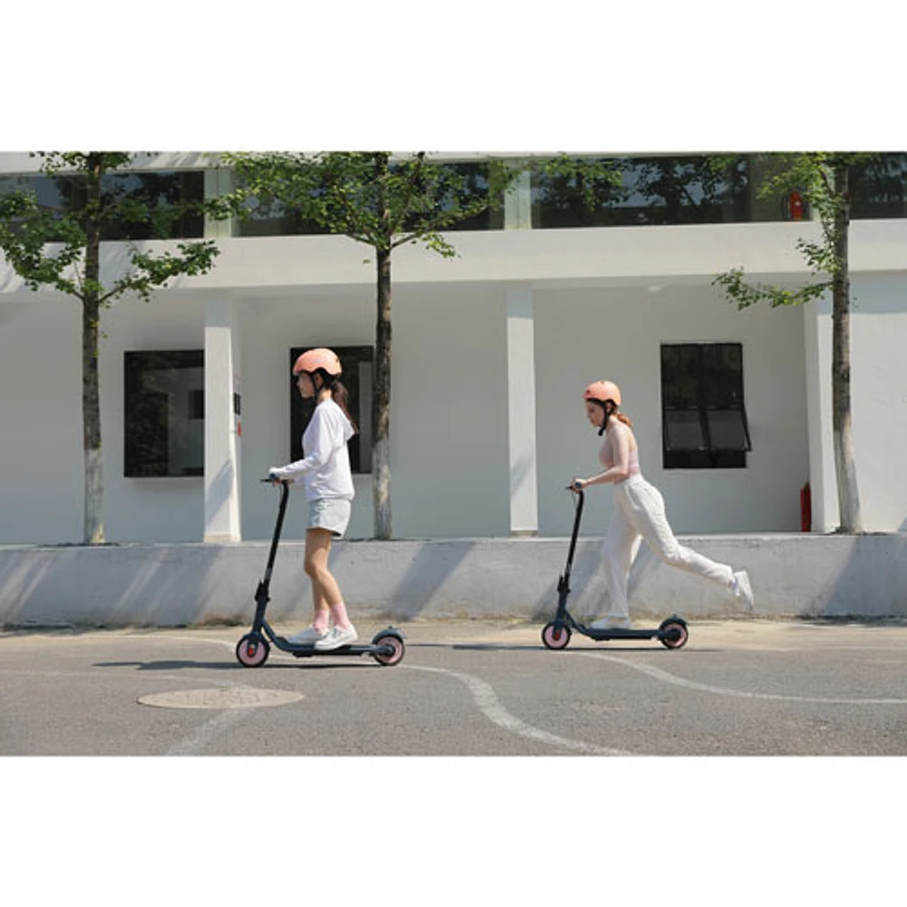 Refurbished (Fair) - Segway Ninebot ZING C20 Adult Electric Scooter (260W Motor/35km Range/16km/h Top Speed)