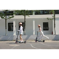 Refurbished (Fair) - Segway Ninebot ZING C20 Adult Electric Scooter (260W Motor/35km Range/16km/h Top Speed)