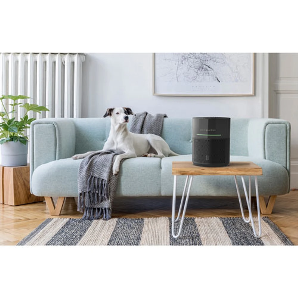 GermGuardian AC3000B AirSafe+ Air Purifier with True HEPA Filter & UV-C - Black