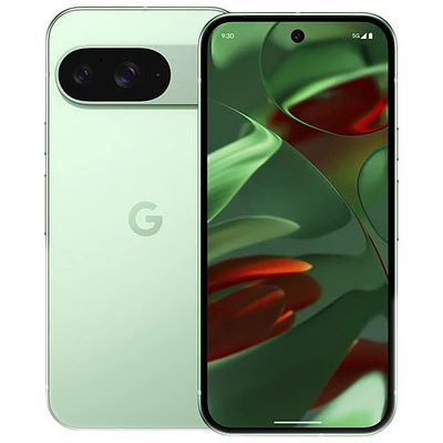 Pixel 9 de 256 Go de Google - Thé des bois - Déverrouillé