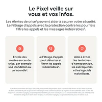 Pixel 9 de 256 Go de Google - Thé des bois - Déverrouillé