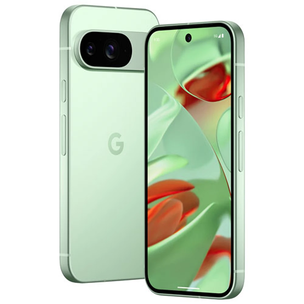 Pixel 9 de 256 Go de Google - Thé des bois - Déverrouillé