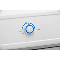 Frigidaire 20 Cu. Ft. Frost-Free Upright Freezer (FRUF2020AW) - White