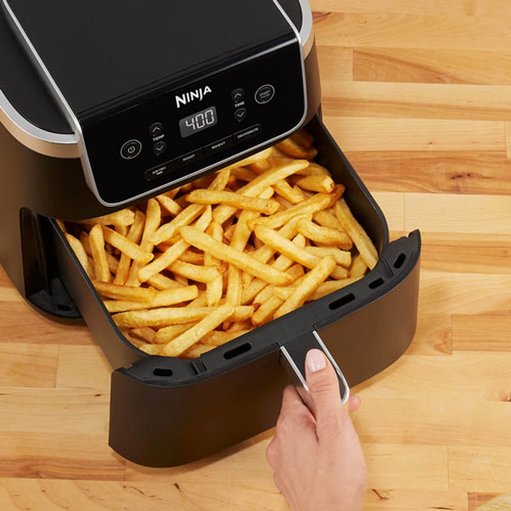 Friteuse à air chaud 4-en-1 Pro de Ninja - Capacité de 4,7 L (5 pte) - Noir