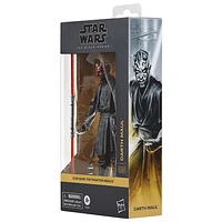 Hasbro Star Wars The Black Series - Darth Maul The Panthom Menace Action Figure