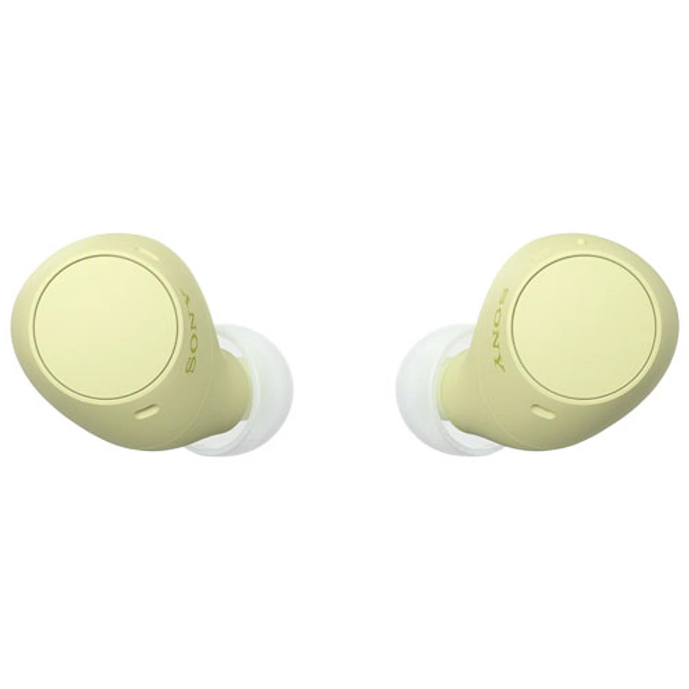 Sony WF-C510 In-Ear True Wireless Earbuds