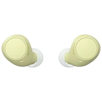 couteurs boutons 100 % sans fil WF-C510 de Sony