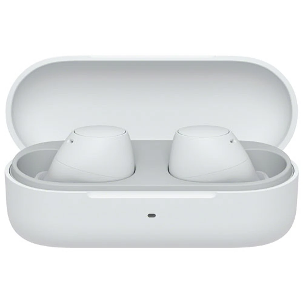 Sony WF-C510 In-Ear True Wireless Earbuds