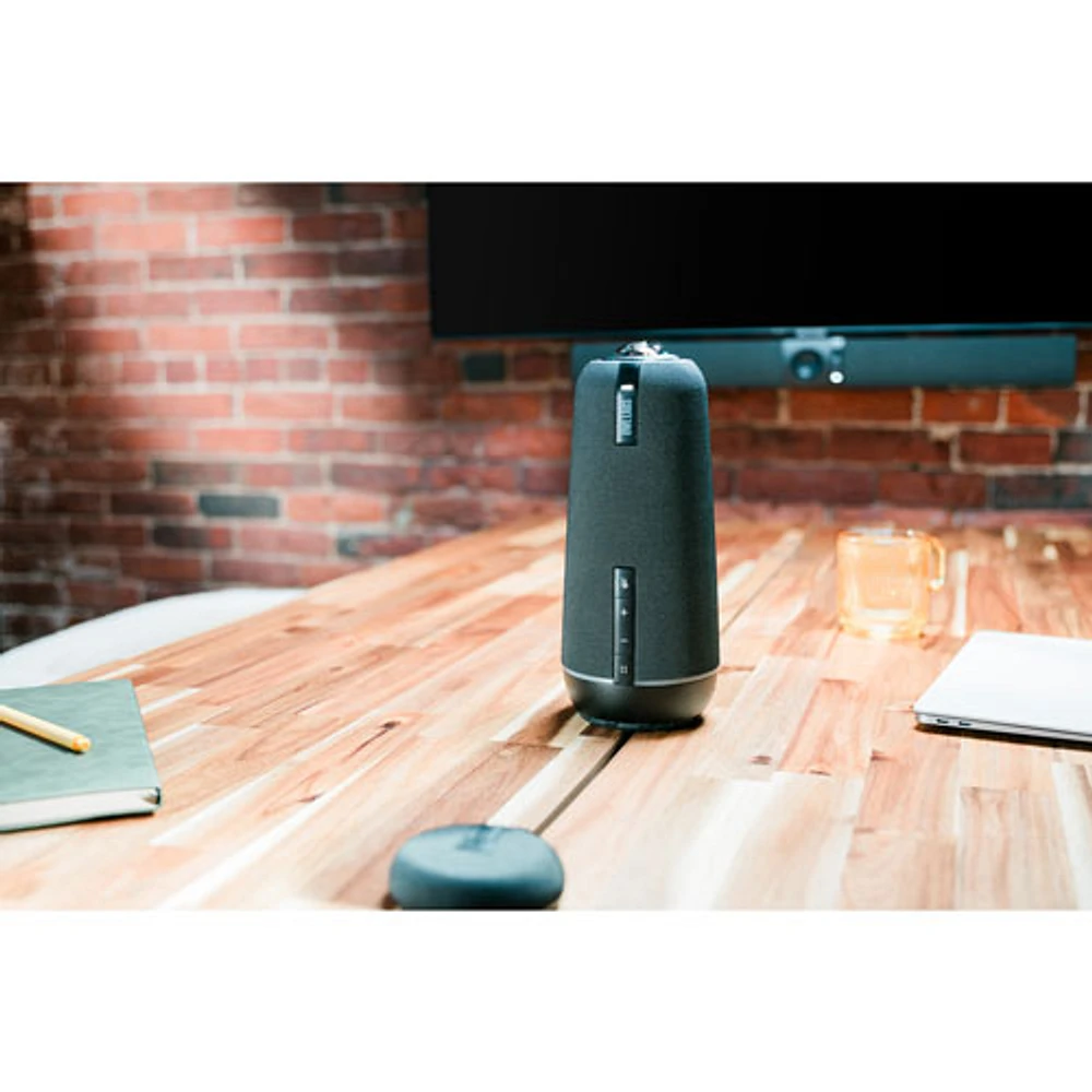 Microphone d'extension pour Meeting Owl 4+ d'Owl Labs (EXM100-1100) - Noir