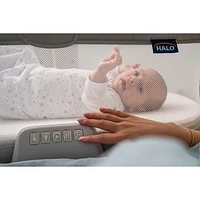 Halo Bassinest 3.0 Swivel Sleeper Bassinet - Grey