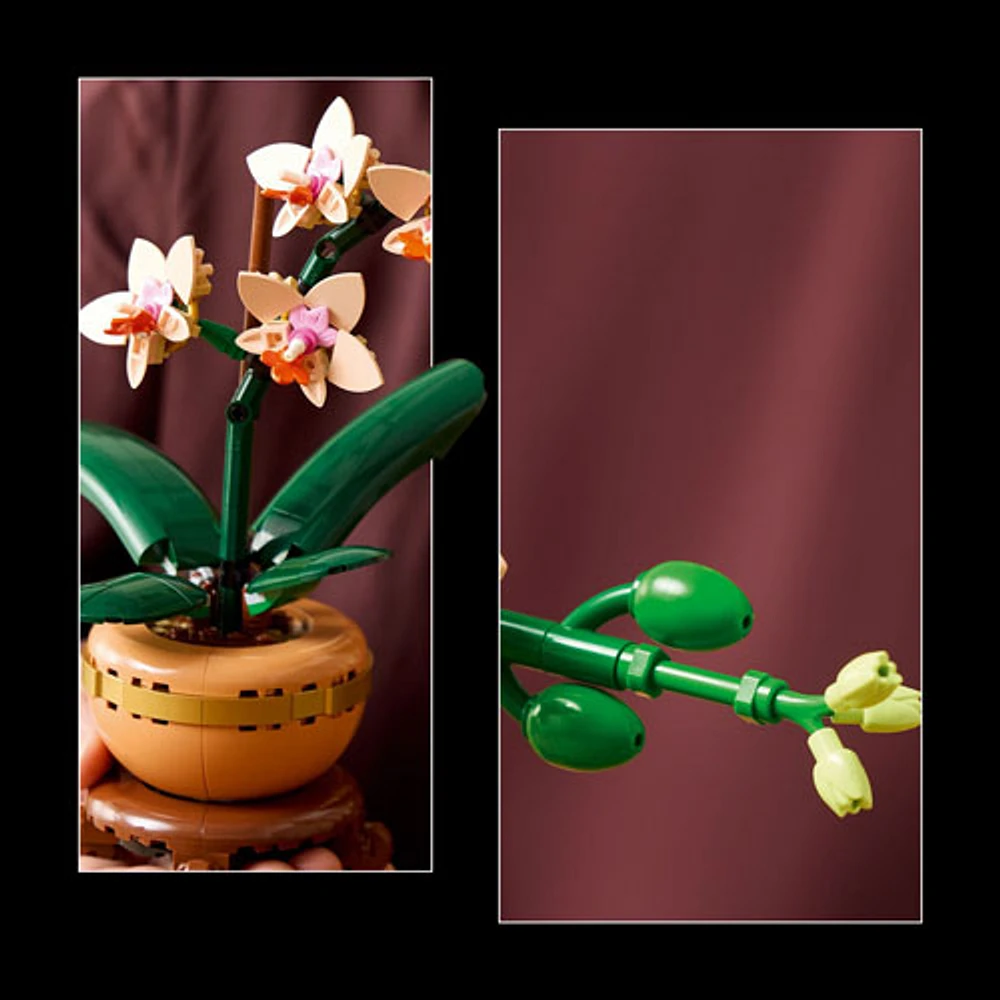 LEGO Botanicals: Mini Orchid - 274 Pieces (10343)