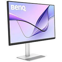 Moniteur ACL IPS Ultra HD 4K 60 Hz de 31,5 po avec temps de réponse de 5 ms gris à gris de BenQ pour MacBook (MA320U) - Argenté