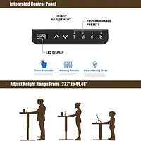 Ljubljana 47" Electric Height Adjustable Standing Desk Standing Desk