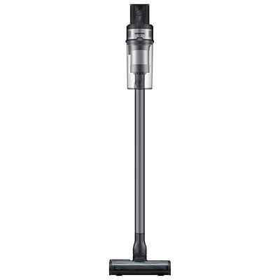 Aspirateur vertical sans sac et sans fil pour animaux domestiques Jet75 de Samsung - Noir