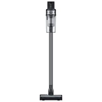 Aspirateur vertical sans sac et sans fil pour animaux domestiques Jet75 de Samsung - Noir