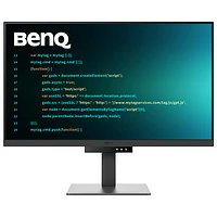 BenQ 31.5" 4K Ultra HD 60Hz 5ms GTG IPS LCD Monitor (RD320U) - Metallic Grey