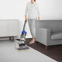 Aspirateur vertical sans sac Ball Allergy+ de Dyson - Noir