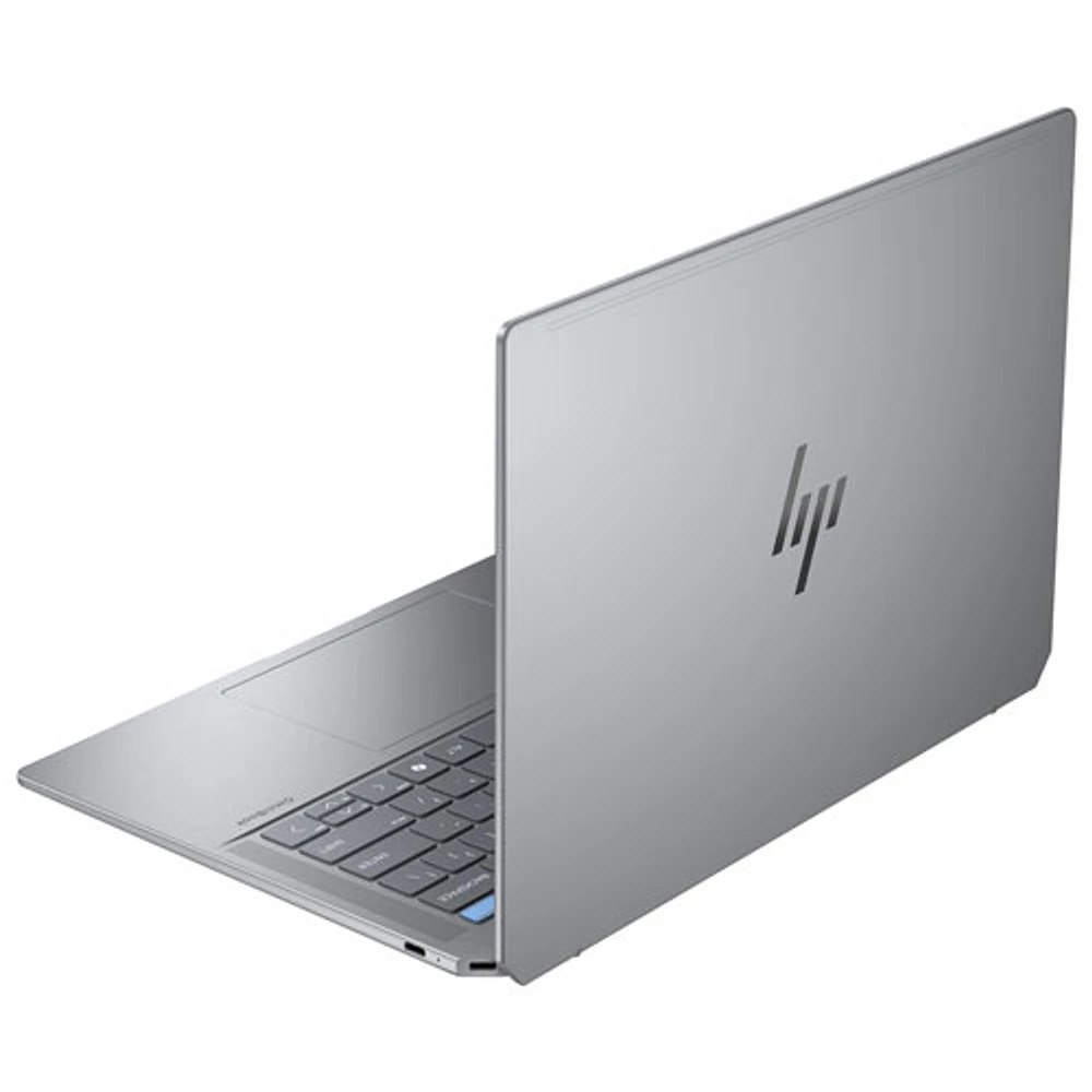 Portable avec écran tactile de 14 po OmniBook Ultra de HP - Argent météore (Ryzen AI 9 HX 375 d'AMD/RAM 32 Go/DD 2 To/Windows 11)