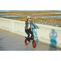 GoPowerBike GoBlitz Foldable Electric City Bike (350W Motor / up to 48km Battery Range / 32km/h Top Speed)- Black