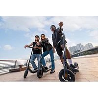 Trottinette électrique Ninebot KickScooter E2 Pro de Segway (moteur de 750 W/autonomie de 35 km/vitesse maximale de 25 km/h) - Gris